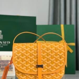 Goyard  Bag