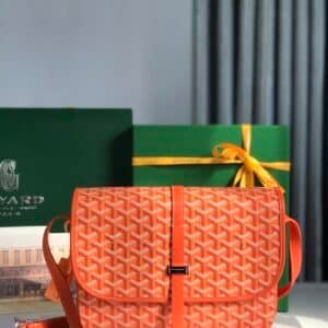 Goyard  Bag