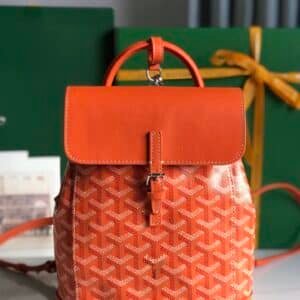 Goyard  Bag