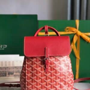 Goyard  Bag