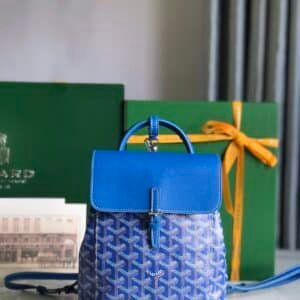 Goyard  Bag