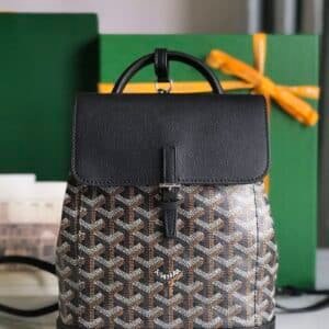 Goyard  Bag