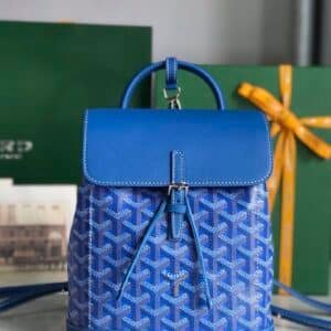 Goyard  Bag