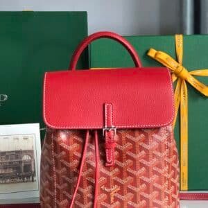 Goyard  Bag
