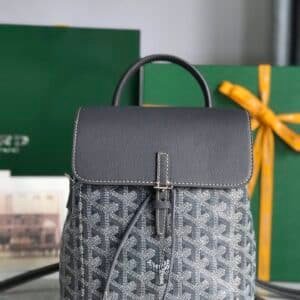 Goyard  Bag