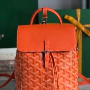 Goyard  Bag