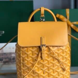 Goyard  Bag