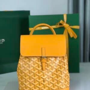 Goyard  Bag