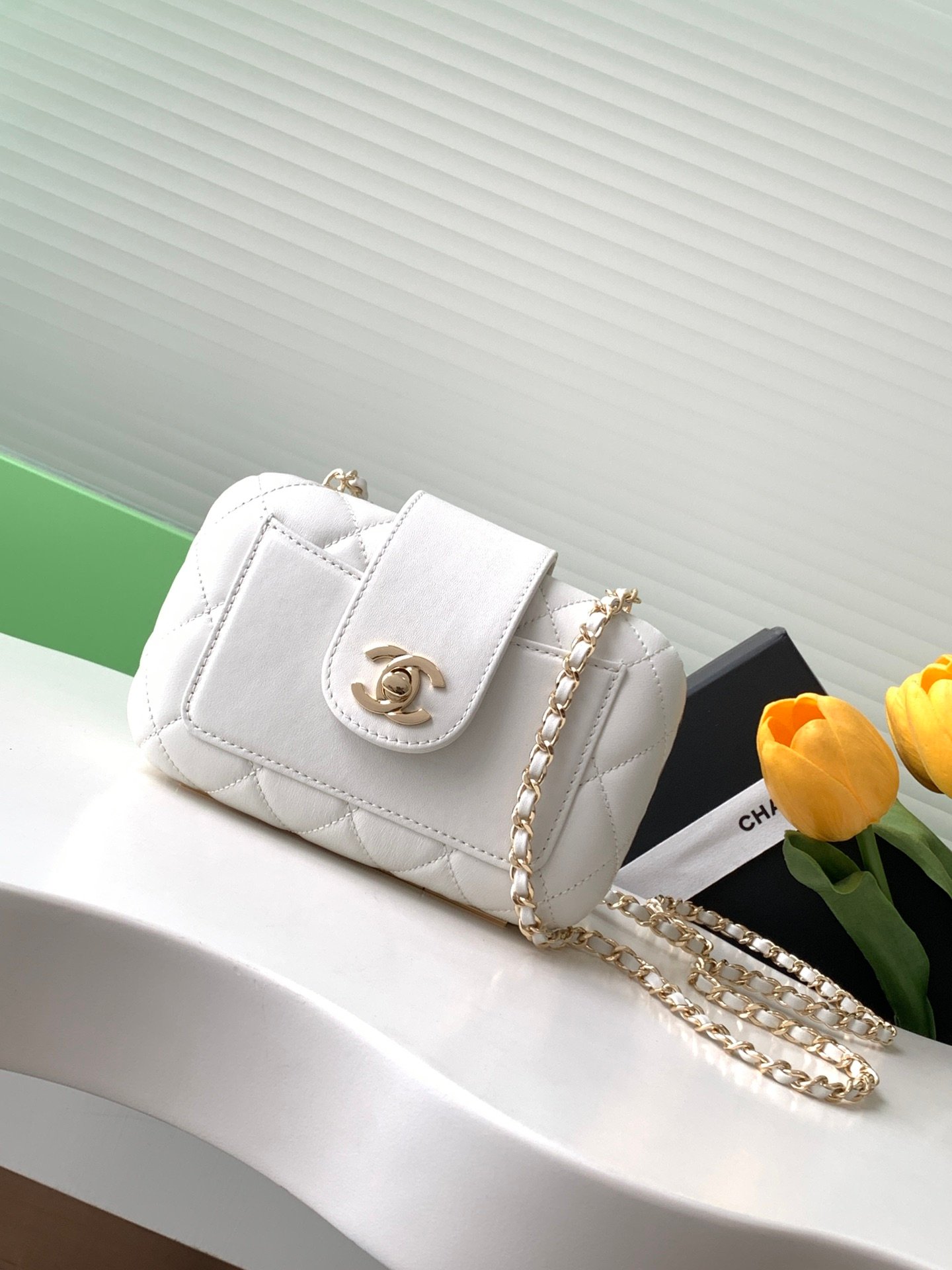 Chanel Bag