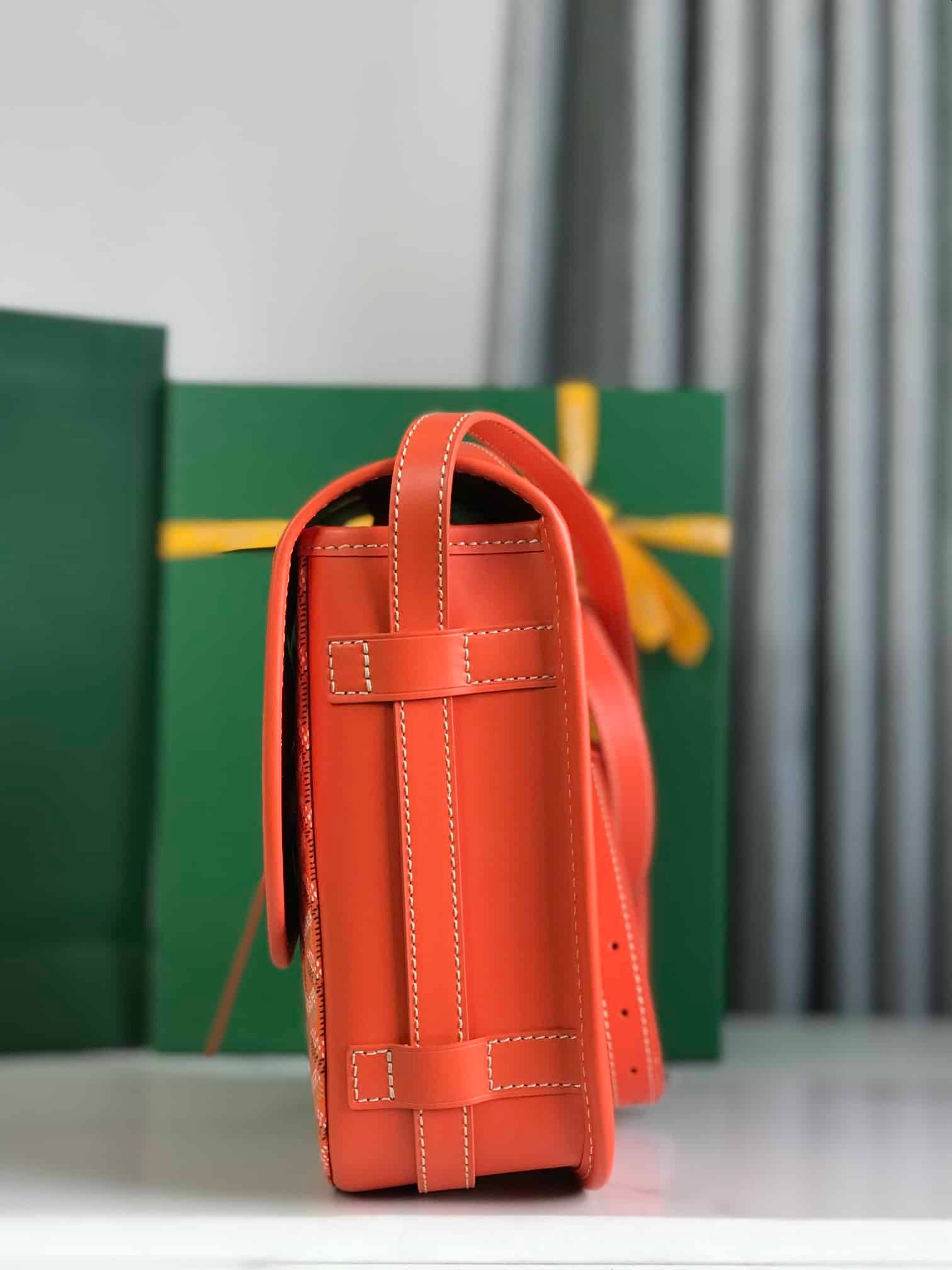 Goyard Bag - Image 3