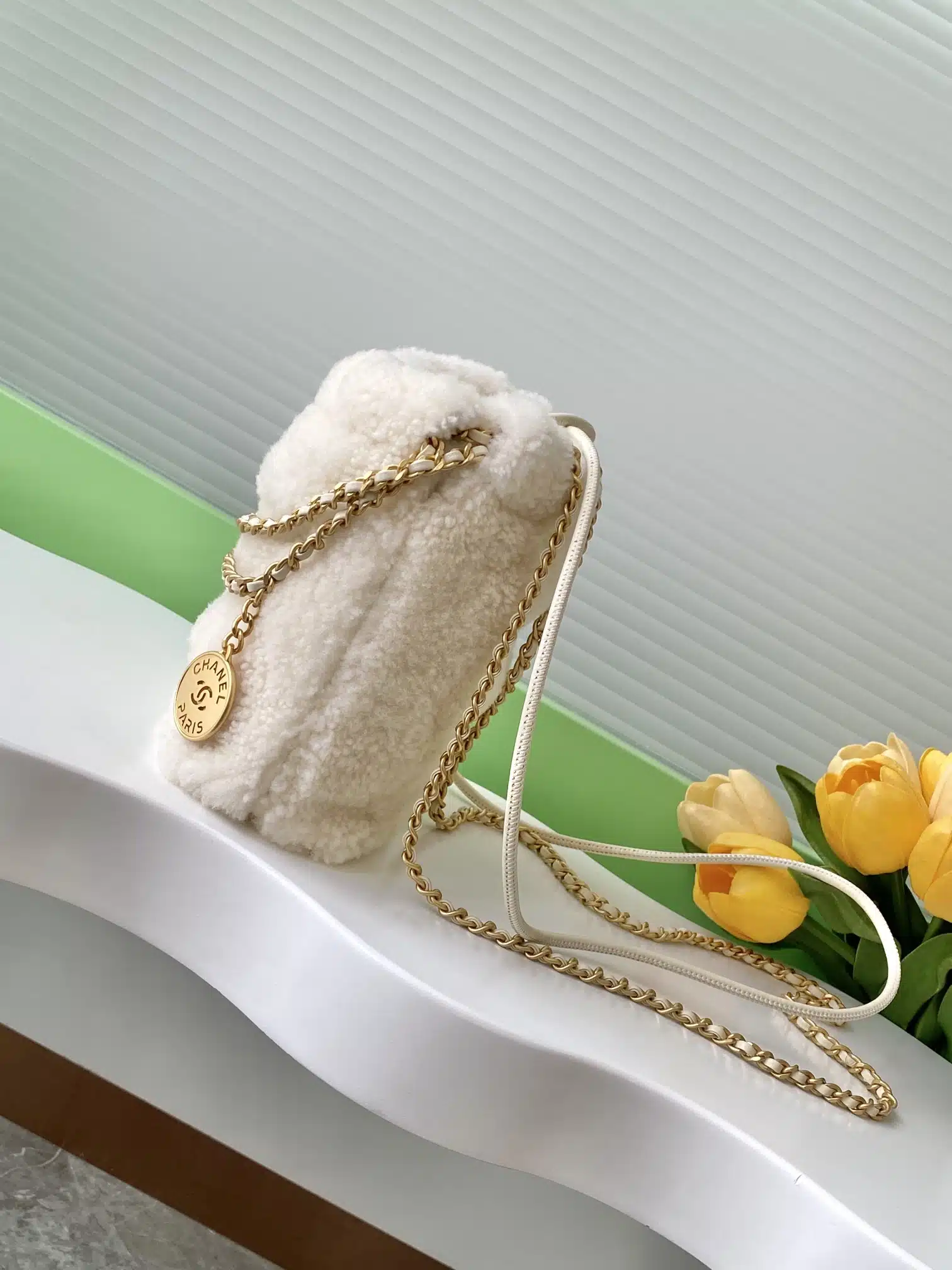 Chanel Bag - Image 5
