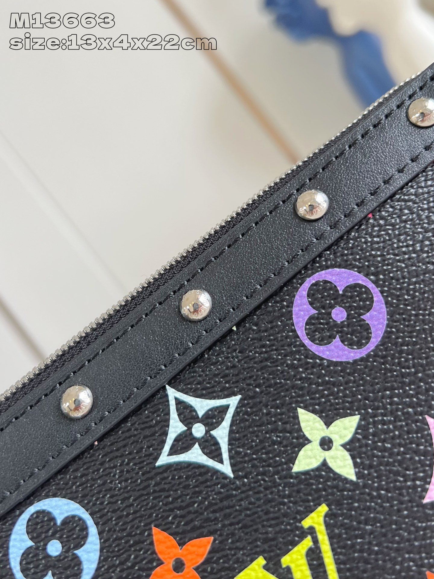 LV M13663 - Image 3