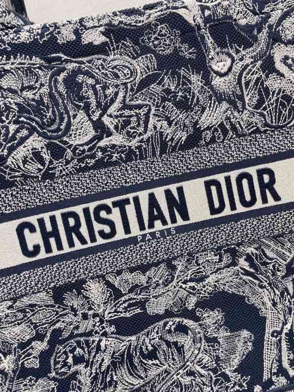 DIOR - Image 3