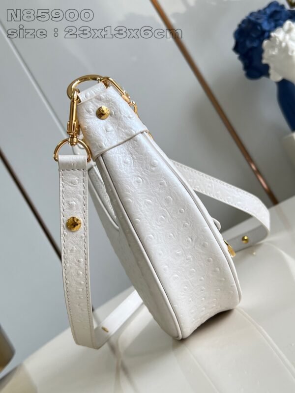 LV N85900 - Image 4