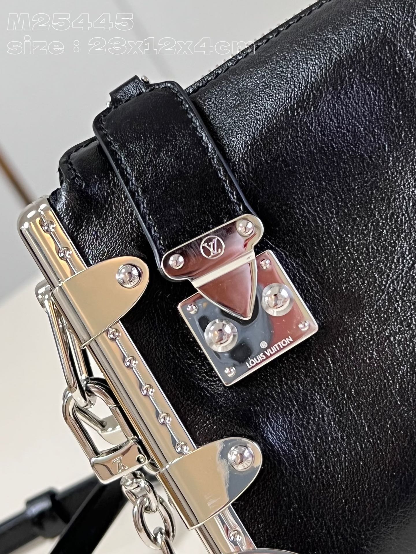 LV M25445 - Image 4