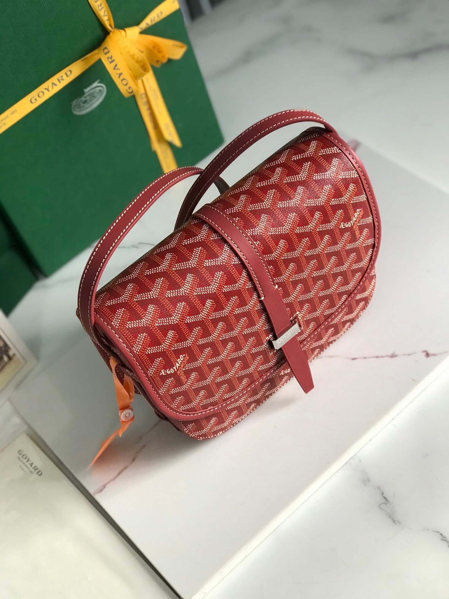 Goyard Bag - Image 5