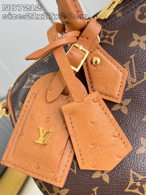 LV N87212 - Image 5