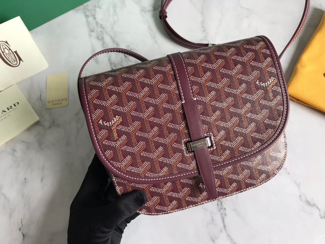 Goyard Bag - Image 6