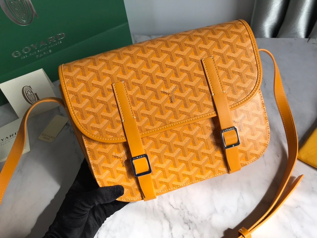 Goyard Bag - Image 6