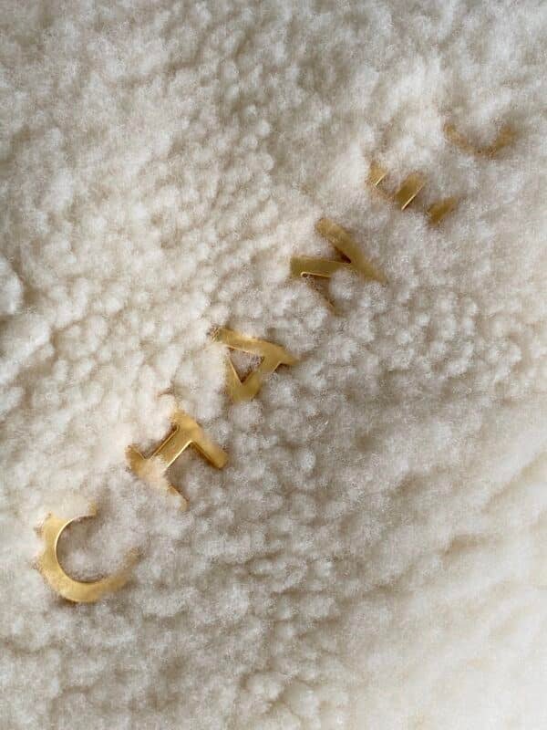 Chanel Bag - Image 2