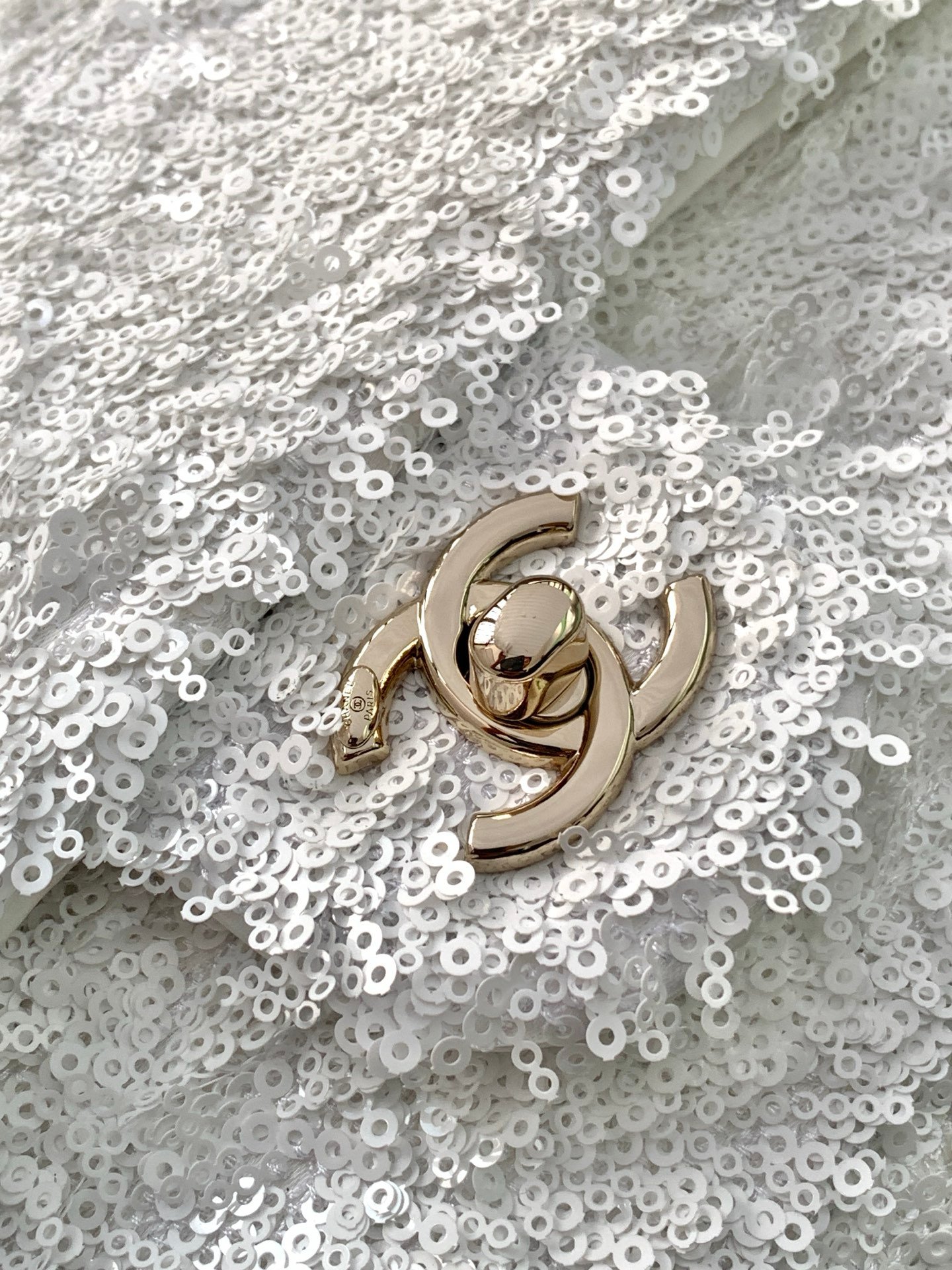 Chanel Bag - Image 7