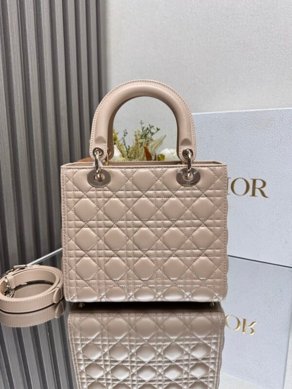 DIOR - Image 6
