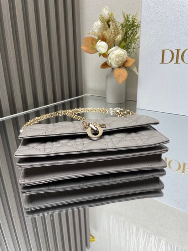 DIOR - Image 5