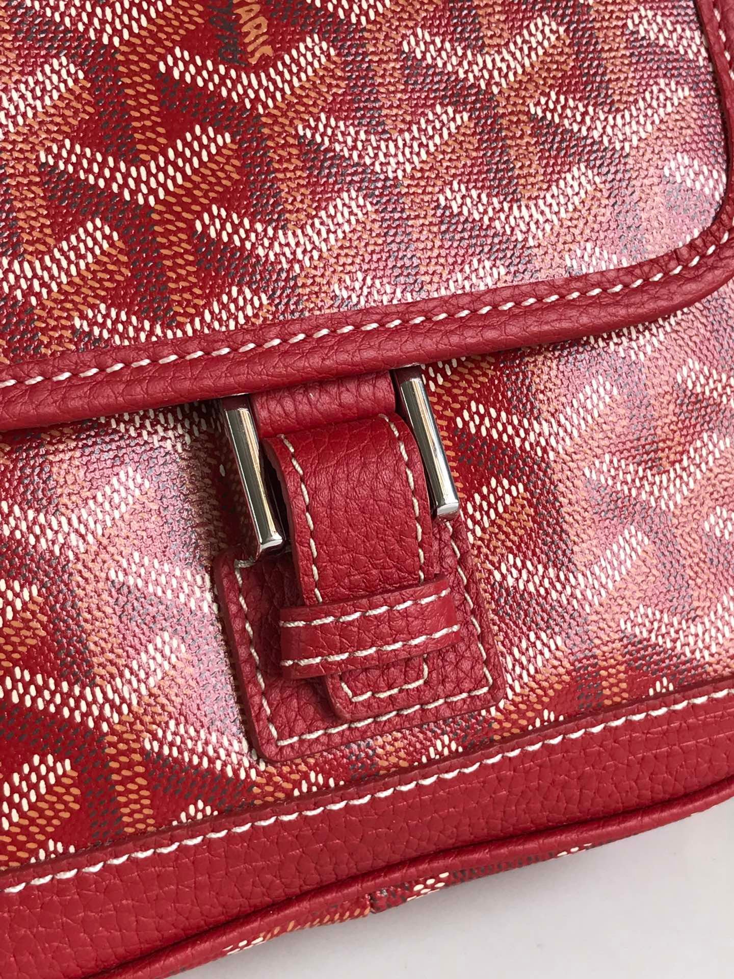 Goyard Bag - Image 6