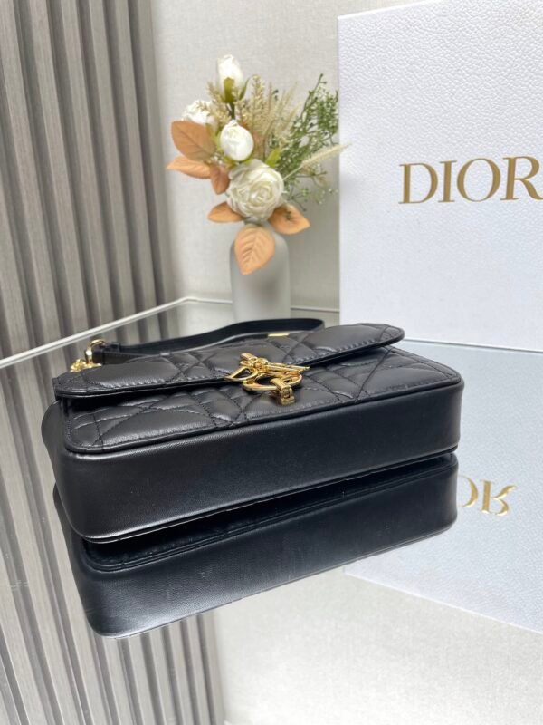 DIOR - Image 7