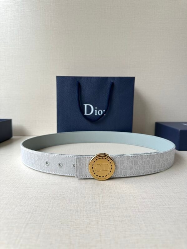 DIOR BELT