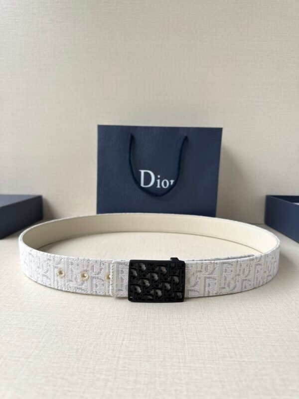 DIOR BELT