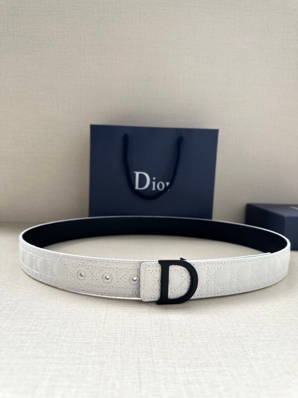 DIOR BELT