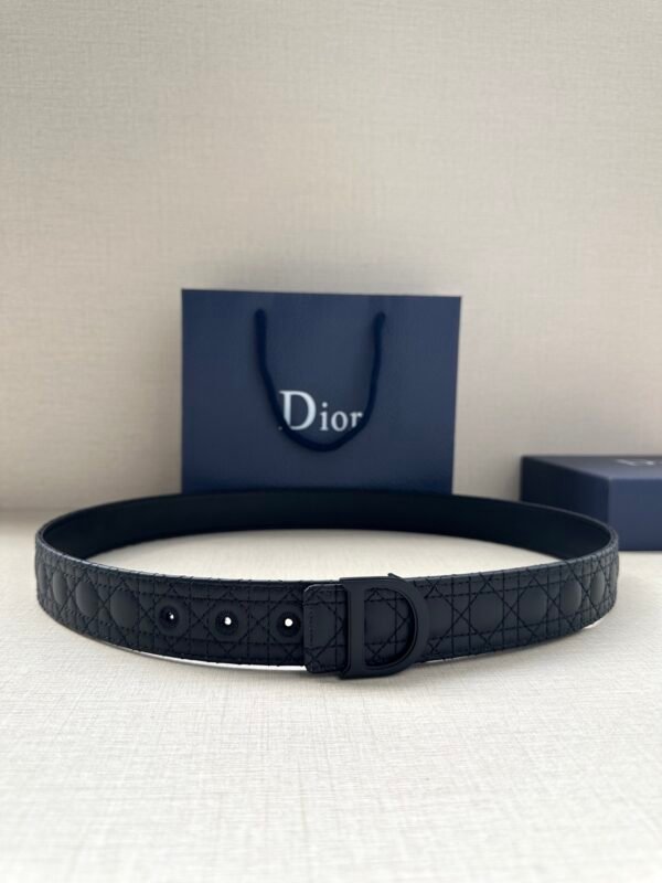 DIOR BELT