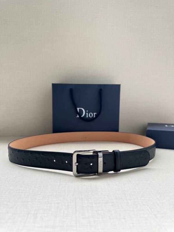 DIOR BELT
