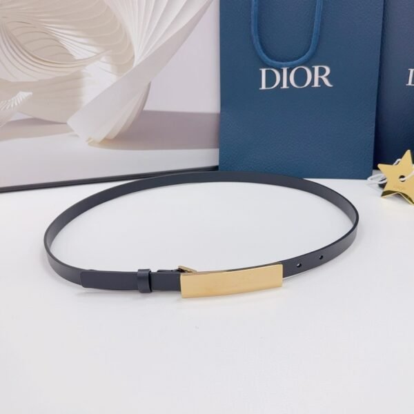 DIOR BELT