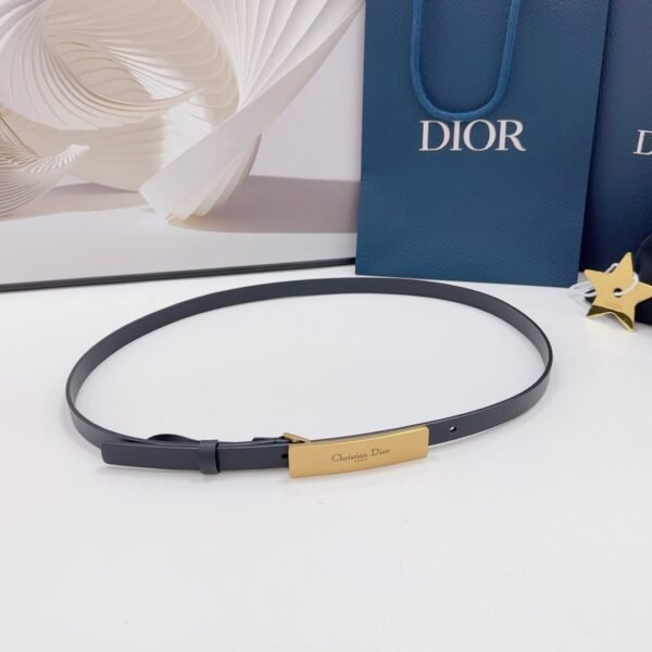 DIOR BELT