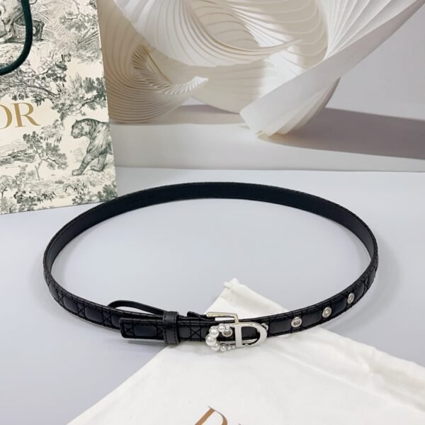 DIOR BELT