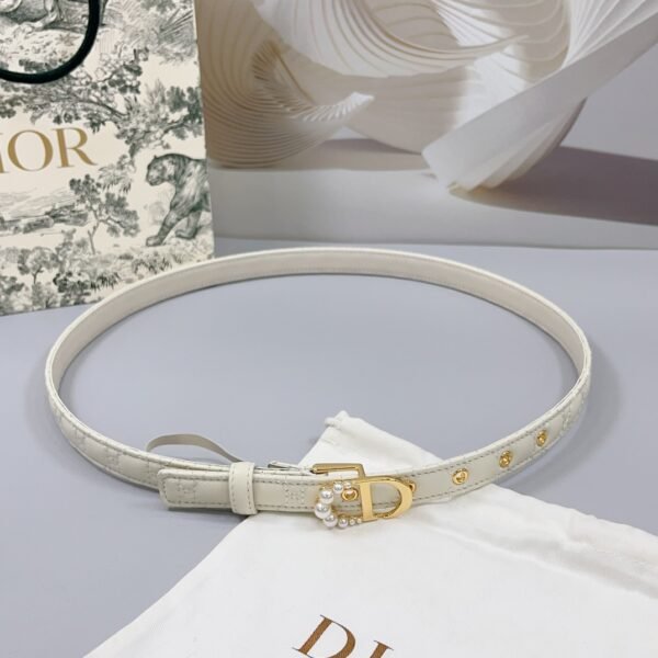 DIOR BELT