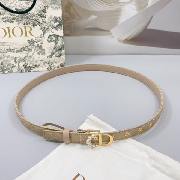 DIOR BELT