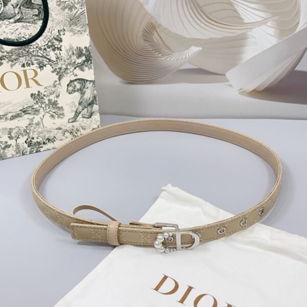 DIOR BELT