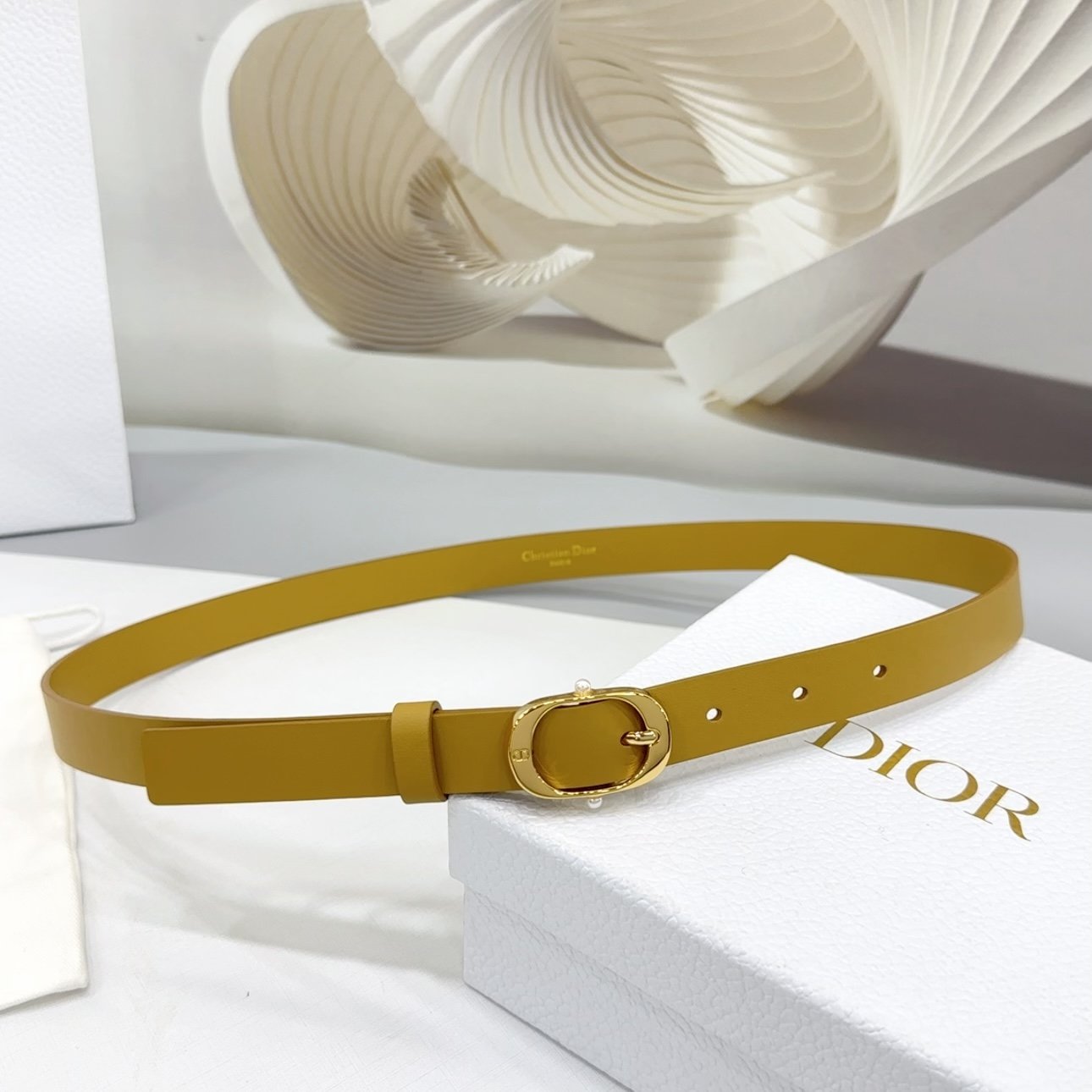 DIOR BELT