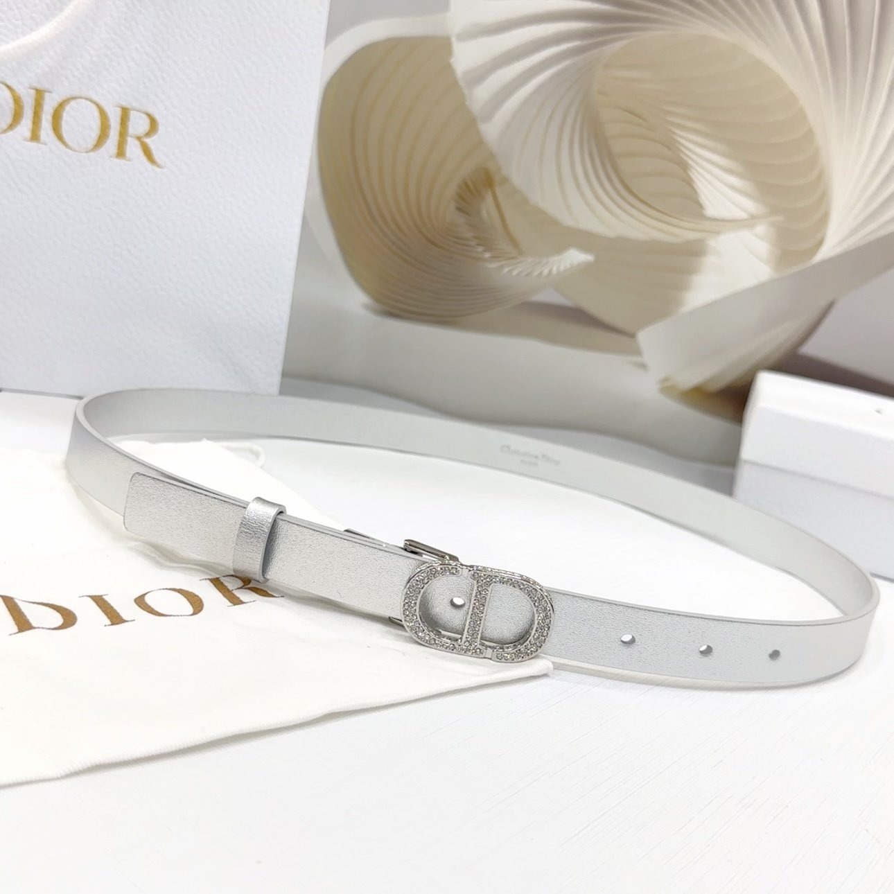 DIOR BELT