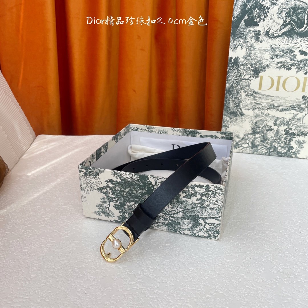 DIOR BELT