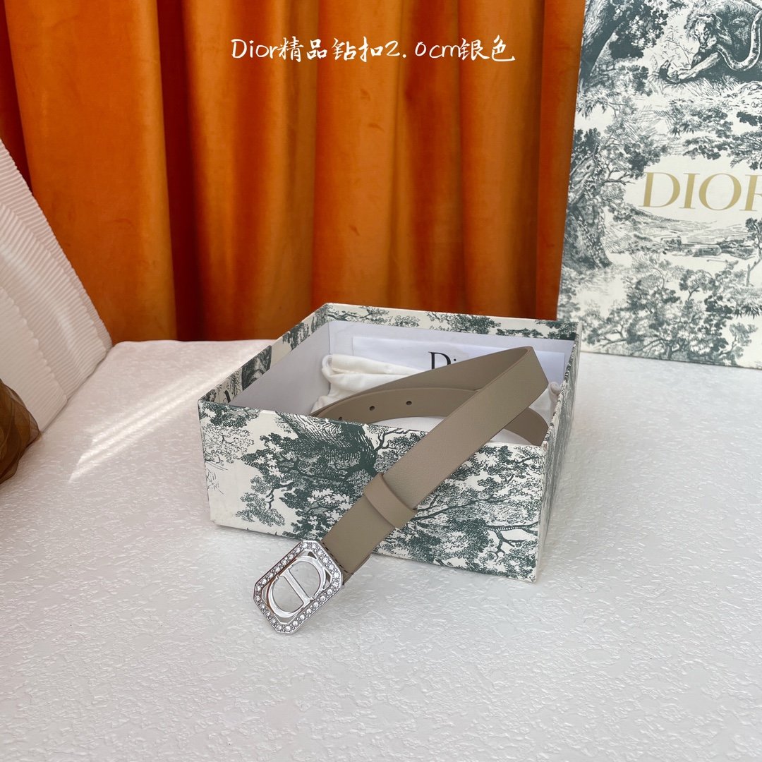 DIOR BELT
