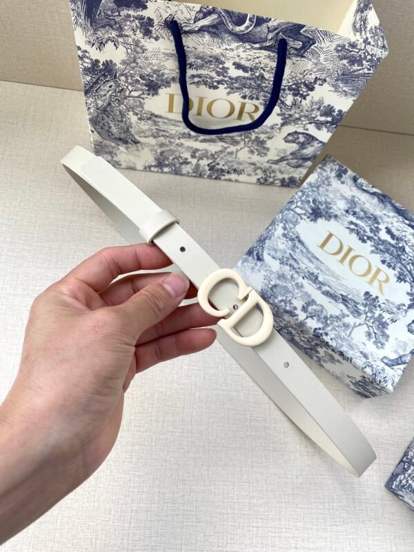 DIOR BELT