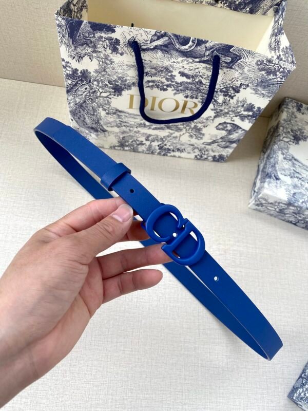 DIOR BELT