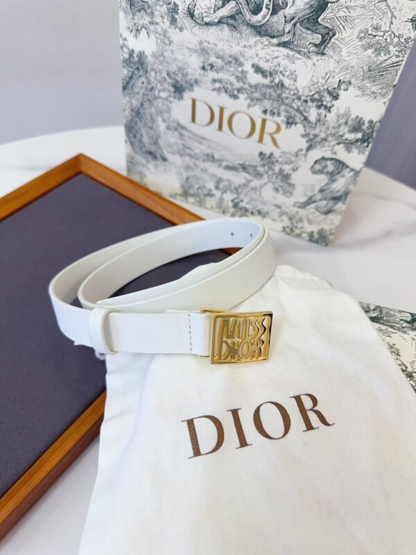 DIOR BELT