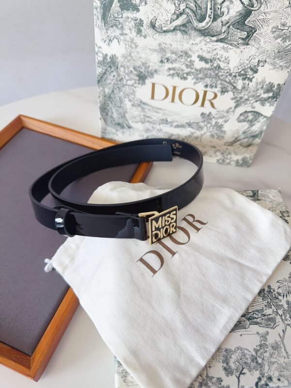 DIOR BELT