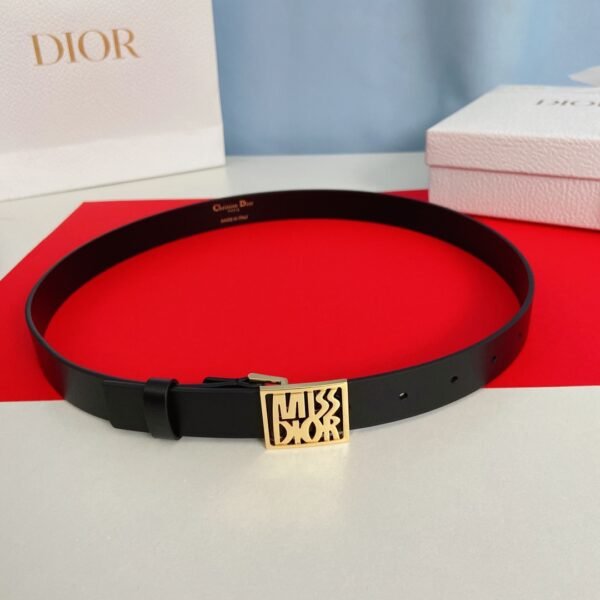 DIOR BELT