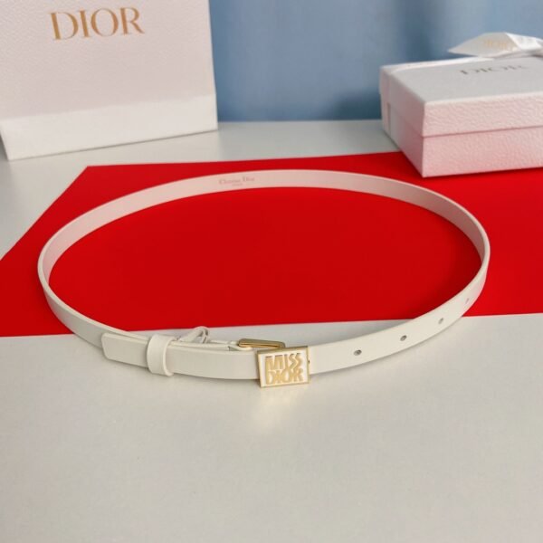 DIOR BELT
